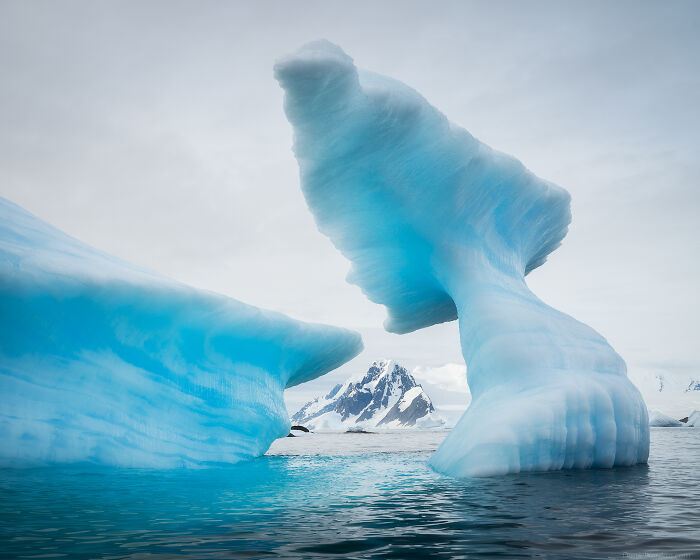 This Photographer Captured Antarctica’s Frozen Landscapes From A Red-Sailed Schooner (42 Pics) This Photographer Captured Antarctica’s Frozen Landscapes From A Red-Sailed Schooner (42 Pics)