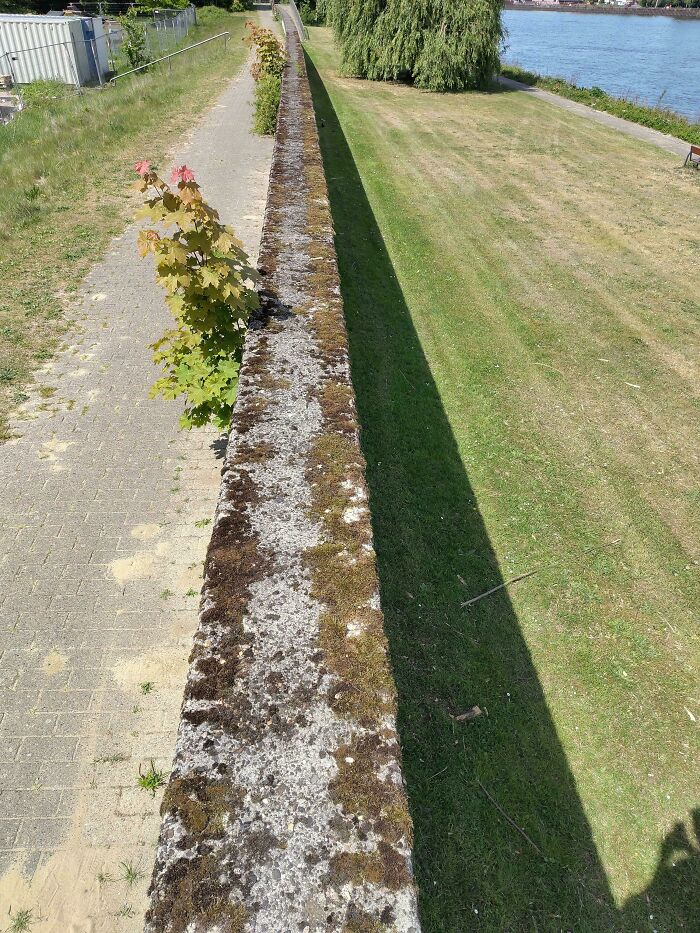 75 “Desire Paths” That Show Human Stubbornness In The Best Way Possible (New Pics) 75 “Desire Paths” That Show Human Stubbornness In The Best Way Possible (New Pics)
