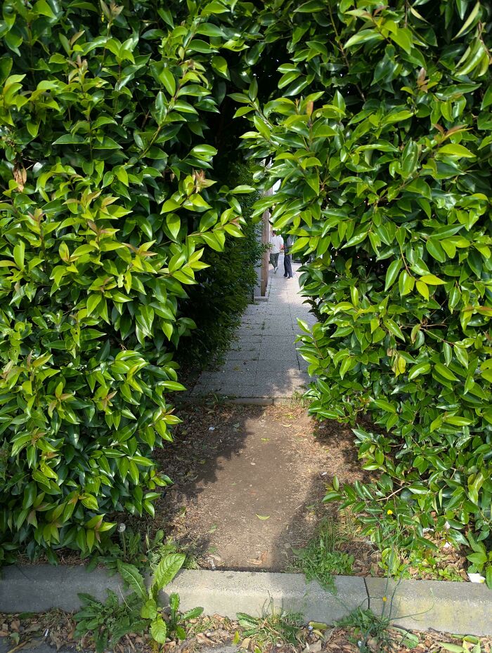 75 “Desire Paths” That Show Human Stubbornness In The Best Way Possible (New Pics) 75 “Desire Paths” That Show Human Stubbornness In The Best Way Possible (New Pics)