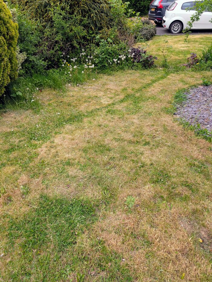 75 “Desire Paths” That Show Human Stubbornness In The Best Way Possible (New Pics) 75 “Desire Paths” That Show Human Stubbornness In The Best Way Possible (New Pics)