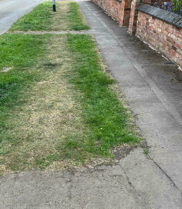 75 “Desire Paths” That Show Human Stubbornness In The Best Way Possible (New Pics) 75 “Desire Paths” That Show Human Stubbornness In The Best Way Possible (New Pics)