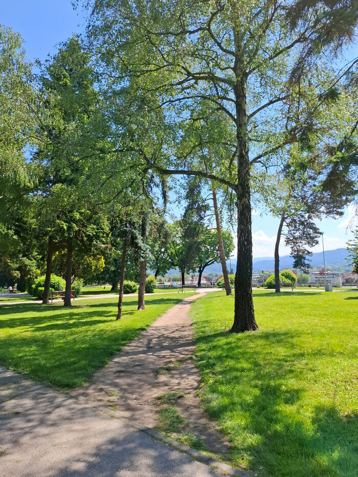 75 “Desire Paths” That Show Human Stubbornness In The Best Way Possible (New Pics) 75 “Desire Paths” That Show Human Stubbornness In The Best Way Possible (New Pics)
