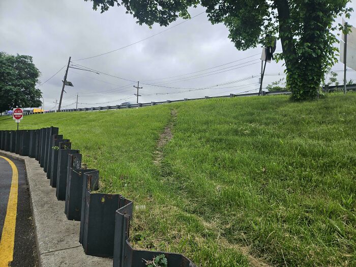 75 “Desire Paths” That Show Human Stubbornness In The Best Way Possible (New Pics) 75 “Desire Paths” That Show Human Stubbornness In The Best Way Possible (New Pics)