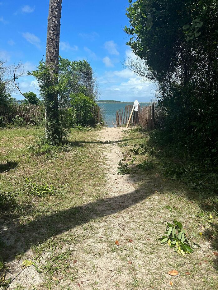 75 “Desire Paths” That Show Human Stubbornness In The Best Way Possible (New Pics) 75 “Desire Paths” That Show Human Stubbornness In The Best Way Possible (New Pics)