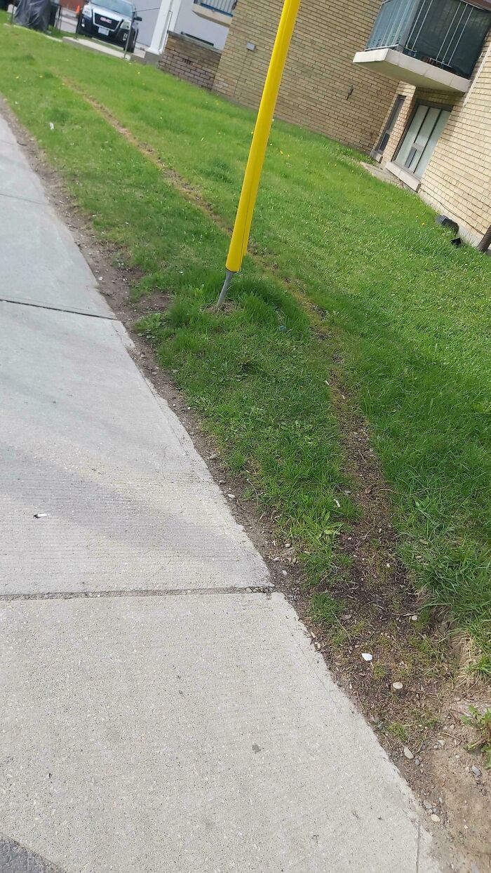75 “Desire Paths” That Show Human Stubbornness In The Best Way Possible (New Pics) 75 “Desire Paths” That Show Human Stubbornness In The Best Way Possible (New Pics)