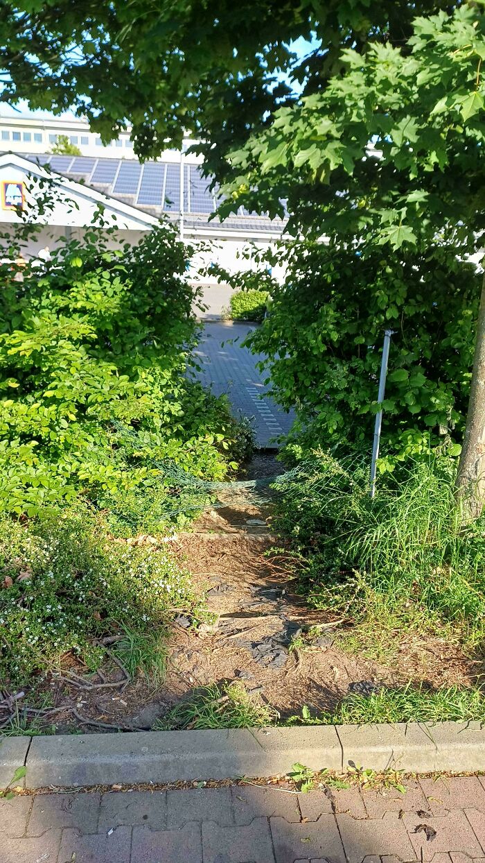 75 “Desire Paths” That Show Human Stubbornness In The Best Way Possible (New Pics) 75 “Desire Paths” That Show Human Stubbornness In The Best Way Possible (New Pics)