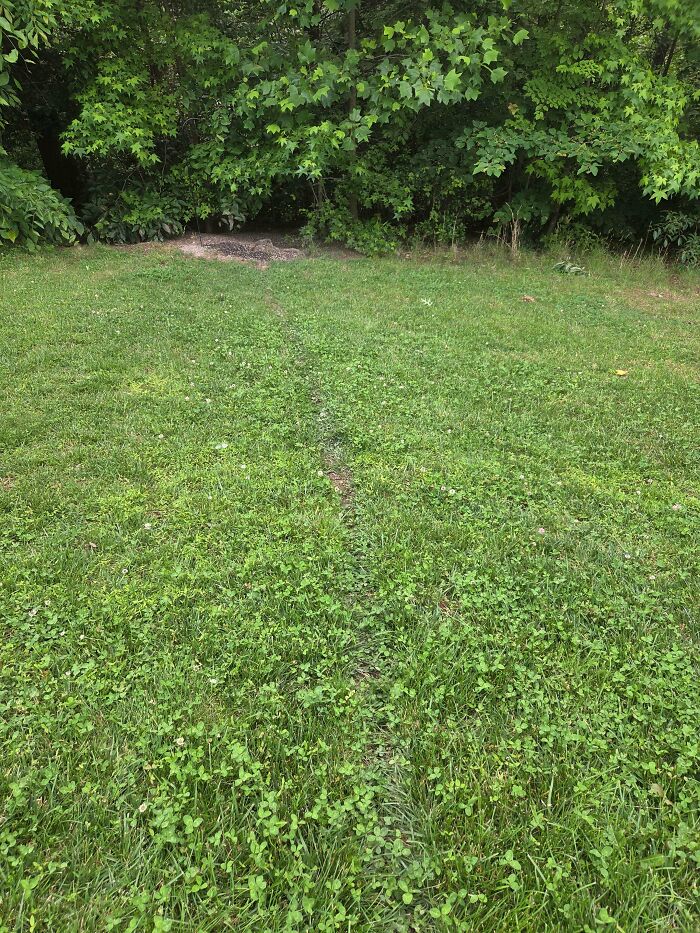 75 “Desire Paths” That Show Human Stubbornness In The Best Way Possible (New Pics) 75 “Desire Paths” That Show Human Stubbornness In The Best Way Possible (New Pics)