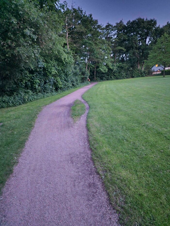75 “Desire Paths” That Show Human Stubbornness In The Best Way Possible (New Pics) 75 “Desire Paths” That Show Human Stubbornness In The Best Way Possible (New Pics)
