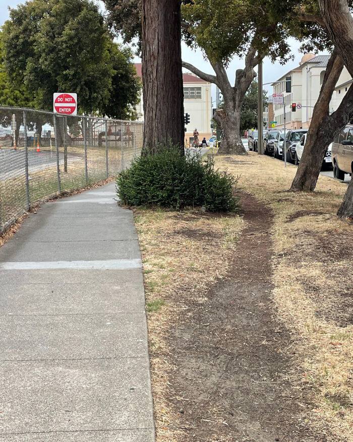 75 “Desire Paths” That Show Human Stubbornness In The Best Way Possible (New Pics) 75 “Desire Paths” That Show Human Stubbornness In The Best Way Possible (New Pics)