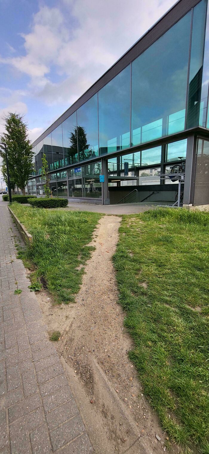 75 “Desire Paths” That Show Human Stubbornness In The Best Way Possible (New Pics) 75 “Desire Paths” That Show Human Stubbornness In The Best Way Possible (New Pics)