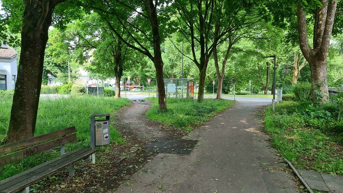 75 “Desire Paths” That Show Human Stubbornness In The Best Way Possible (New Pics) 75 “Desire Paths” That Show Human Stubbornness In The Best Way Possible (New Pics)