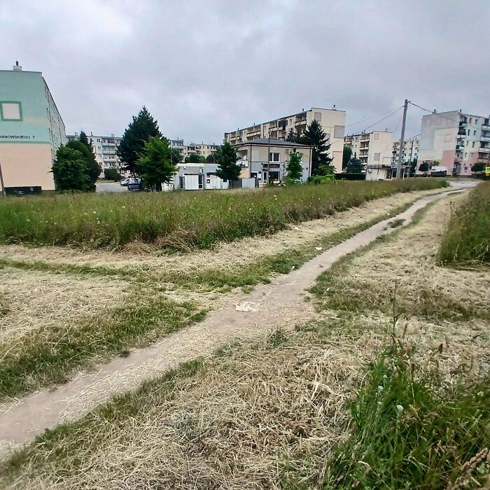 75 “Desire Paths” That Show Human Stubbornness In The Best Way Possible (New Pics) 75 “Desire Paths” That Show Human Stubbornness In The Best Way Possible (New Pics)