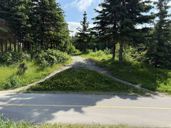 75 “Desire Paths” That Show Human Stubbornness In The Best Way Possible (New Pics) 75 “Desire Paths” That Show Human Stubbornness In The Best Way Possible (New Pics)