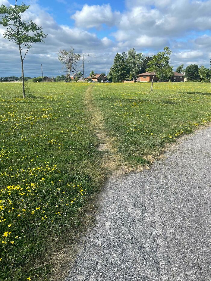 75 “Desire Paths” That Show Human Stubbornness In The Best Way Possible (New Pics) 75 “Desire Paths” That Show Human Stubbornness In The Best Way Possible (New Pics)