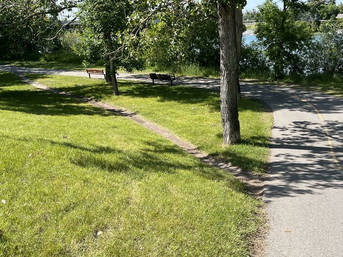 75 “Desire Paths” That Show Human Stubbornness In The Best Way Possible (New Pics) 75 “Desire Paths” That Show Human Stubbornness In The Best Way Possible (New Pics)