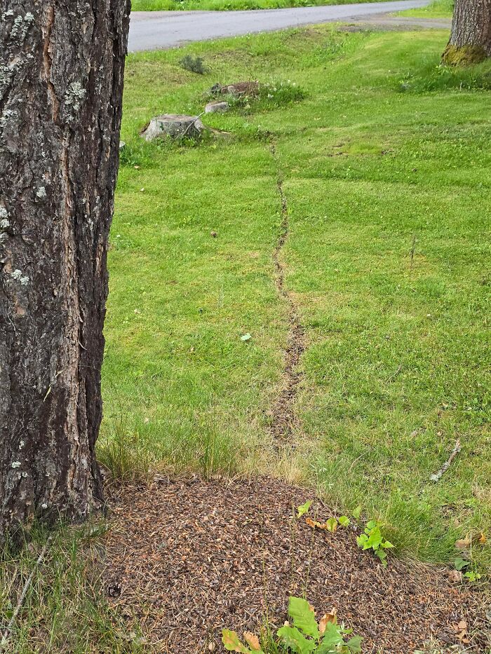 75 “Desire Paths” That Show Human Stubbornness In The Best Way Possible (New Pics) 75 “Desire Paths” That Show Human Stubbornness In The Best Way Possible (New Pics)