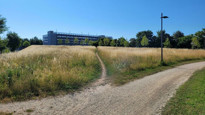75 “Desire Paths” That Show Human Stubbornness In The Best Way Possible (New Pics) 75 “Desire Paths” That Show Human Stubbornness In The Best Way Possible (New Pics)