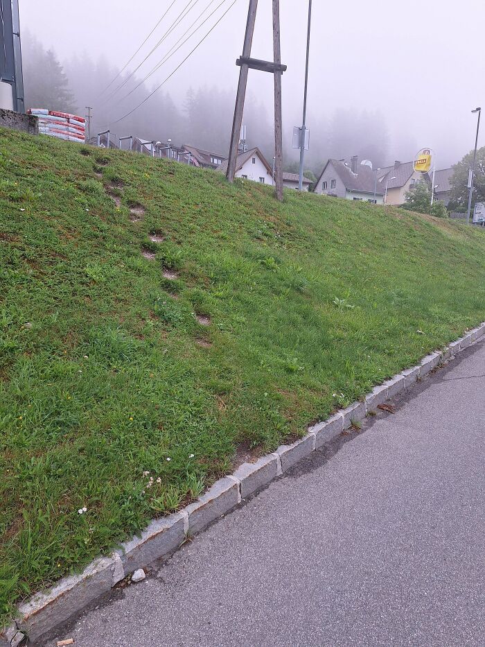 75 “Desire Paths” That Show Human Stubbornness In The Best Way Possible (New Pics) 75 “Desire Paths” That Show Human Stubbornness In The Best Way Possible (New Pics)