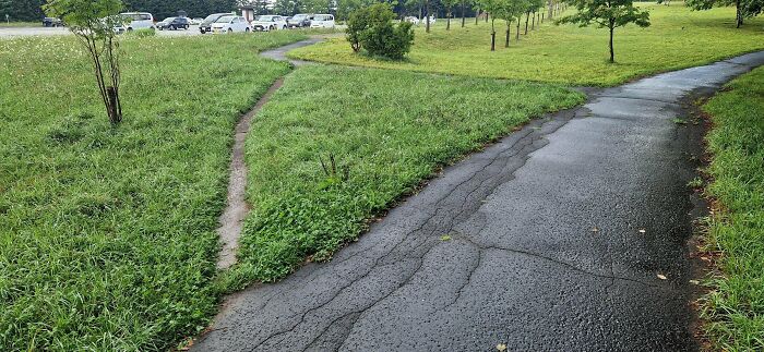 75 “Desire Paths” That Show Human Stubbornness In The Best Way Possible (New Pics) 75 “Desire Paths” That Show Human Stubbornness In The Best Way Possible (New Pics)