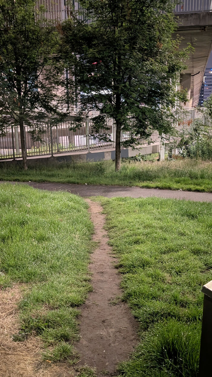 75 “Desire Paths” That Show Human Stubbornness In The Best Way Possible (New Pics) 75 “Desire Paths” That Show Human Stubbornness In The Best Way Possible (New Pics)