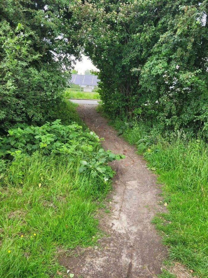 75 “Desire Paths” That Show Human Stubbornness In The Best Way Possible (New Pics) 75 “Desire Paths” That Show Human Stubbornness In The Best Way Possible (New Pics)
