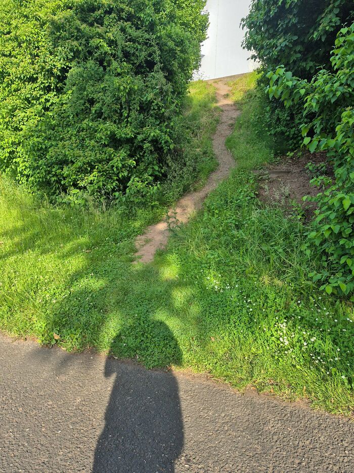 75 “Desire Paths” That Show Human Stubbornness In The Best Way Possible (New Pics) 75 “Desire Paths” That Show Human Stubbornness In The Best Way Possible (New Pics)