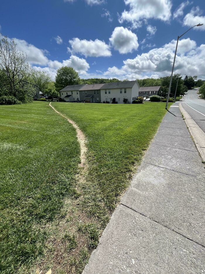 75 “Desire Paths” That Show Human Stubbornness In The Best Way Possible (New Pics) 75 “Desire Paths” That Show Human Stubbornness In The Best Way Possible (New Pics)