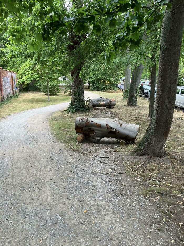 75 “Desire Paths” That Show Human Stubbornness In The Best Way Possible (New Pics) 75 “Desire Paths” That Show Human Stubbornness In The Best Way Possible (New Pics)