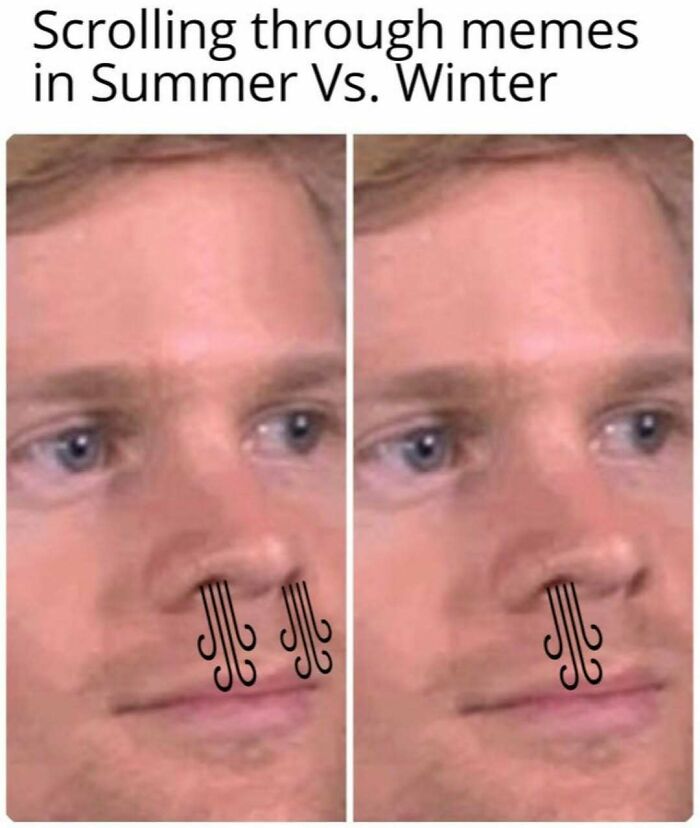 64 Funny Silly Memes To Brighten Your Day With Some Lighthearted Humor 64 Funny Silly Memes To Brighten Your Day With Some Lighthearted Humor