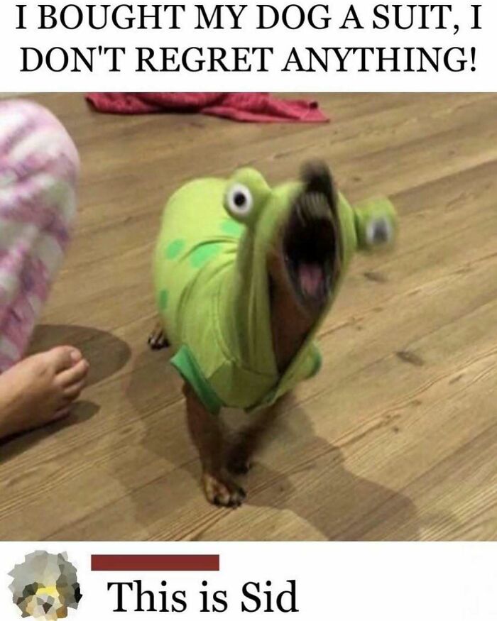 64 Funny Silly Memes To Brighten Your Day With Some Lighthearted Humor 64 Funny Silly Memes To Brighten Your Day With Some Lighthearted Humor