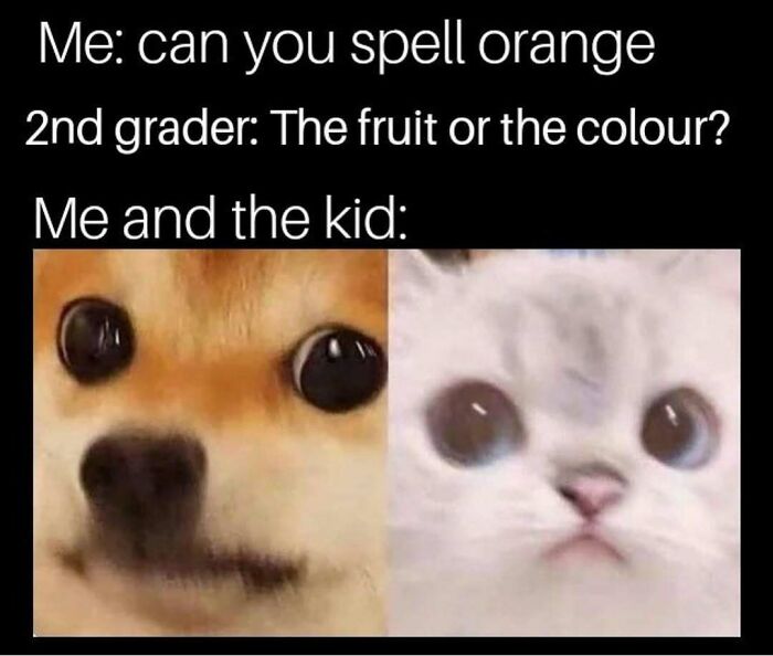 64 Funny Silly Memes To Brighten Your Day With Some Lighthearted Humor 64 Funny Silly Memes To Brighten Your Day With Some Lighthearted Humor
