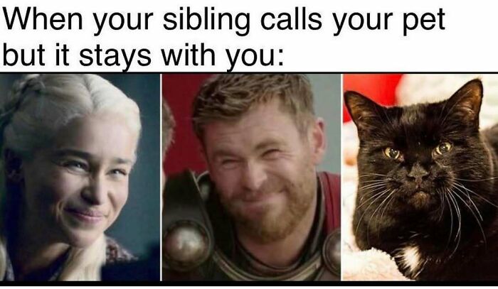 64 Funny Silly Memes To Brighten Your Day With Some Lighthearted Humor 64 Funny Silly Memes To Brighten Your Day With Some Lighthearted Humor