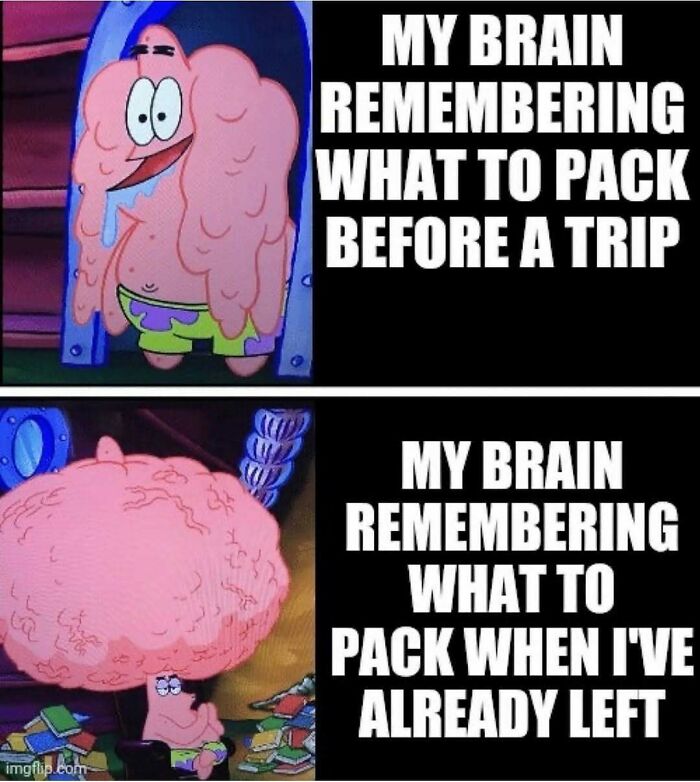 64 Funny Silly Memes To Brighten Your Day With Some Lighthearted Humor 64 Funny Silly Memes To Brighten Your Day With Some Lighthearted Humor