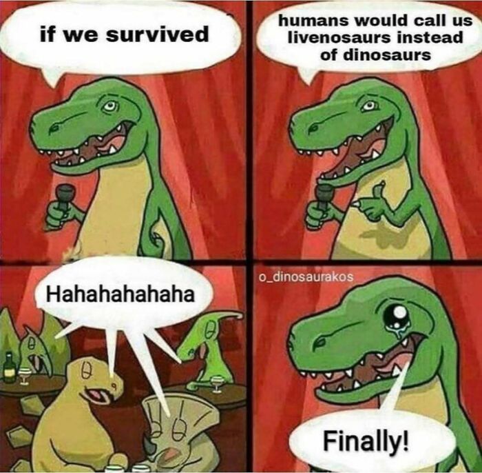 64 Funny Silly Memes To Brighten Your Day With Some Lighthearted Humor 64 Funny Silly Memes To Brighten Your Day With Some Lighthearted Humor