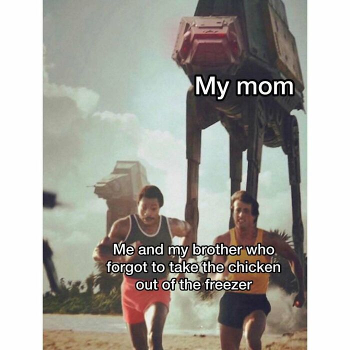 64 Funny Silly Memes To Brighten Your Day With Some Lighthearted Humor 64 Funny Silly Memes To Brighten Your Day With Some Lighthearted Humor
