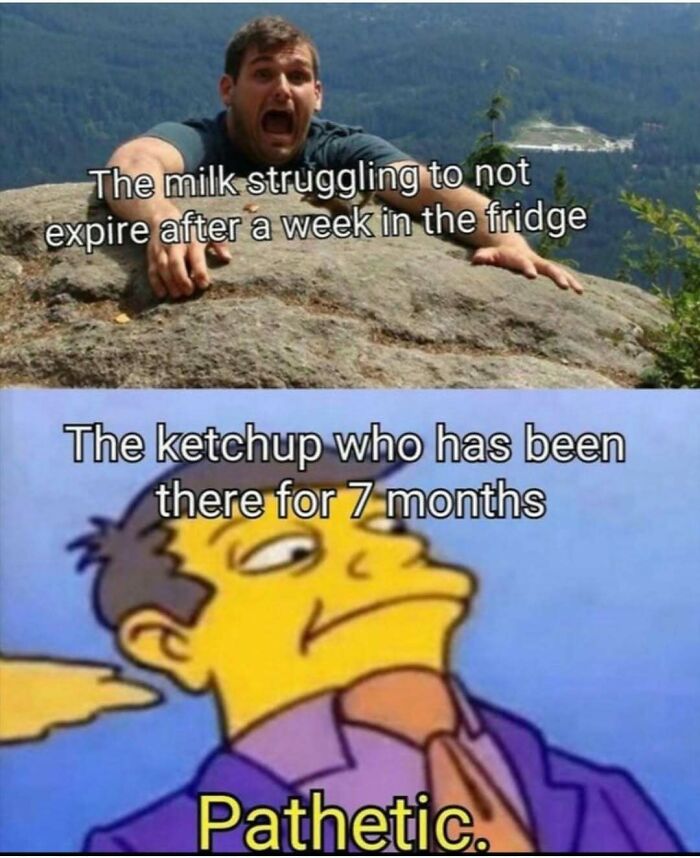 64 Funny Silly Memes To Brighten Your Day With Some Lighthearted Humor 64 Funny Silly Memes To Brighten Your Day With Some Lighthearted Humor