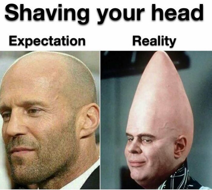 64 Funny Silly Memes To Brighten Your Day With Some Lighthearted Humor 64 Funny Silly Memes To Brighten Your Day With Some Lighthearted Humor