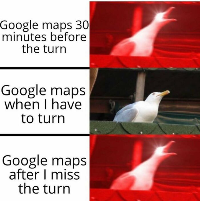 64 Funny Silly Memes To Brighten Your Day With Some Lighthearted Humor 64 Funny Silly Memes To Brighten Your Day With Some Lighthearted Humor