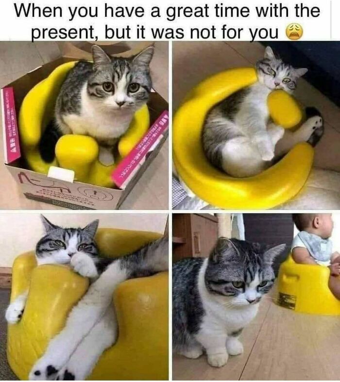 64 Funny Silly Memes To Brighten Your Day With Some Lighthearted Humor 64 Funny Silly Memes To Brighten Your Day With Some Lighthearted Humor