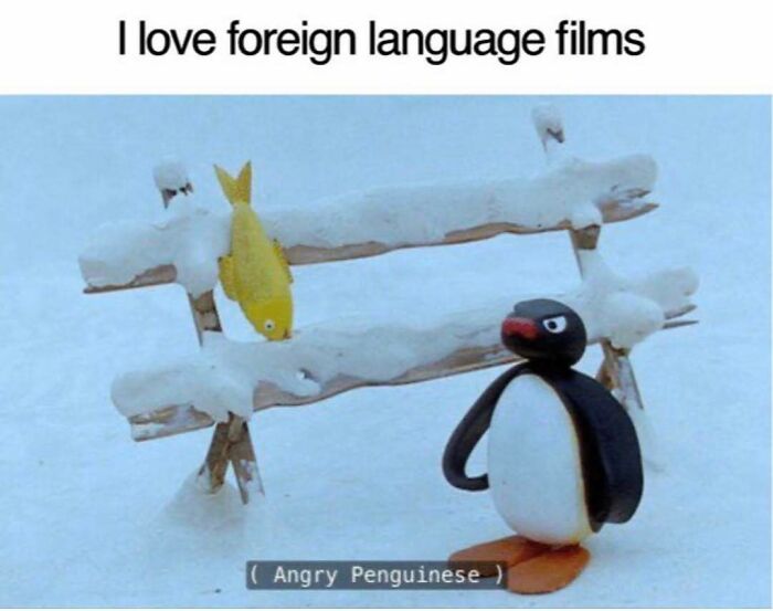 64 Funny Silly Memes To Brighten Your Day With Some Lighthearted Humor 64 Funny Silly Memes To Brighten Your Day With Some Lighthearted Humor