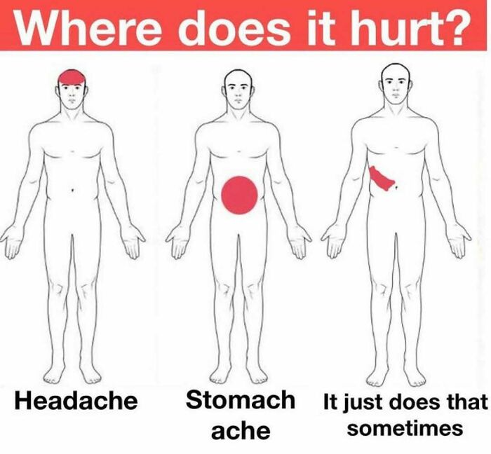 64 Funny Silly Memes To Brighten Your Day With Some Lighthearted Humor 64 Funny Silly Memes To Brighten Your Day With Some Lighthearted Humor