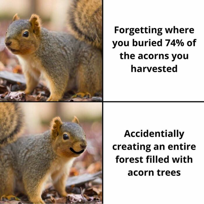 64 Funny Silly Memes To Brighten Your Day With Some Lighthearted Humor 64 Funny Silly Memes To Brighten Your Day With Some Lighthearted Humor
