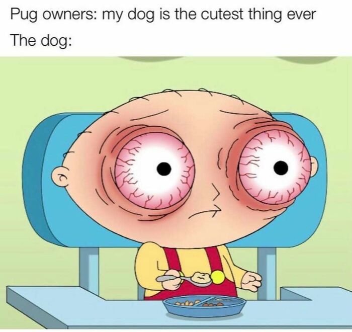 64 Funny Silly Memes To Brighten Your Day With Some Lighthearted Humor 64 Funny Silly Memes To Brighten Your Day With Some Lighthearted Humor