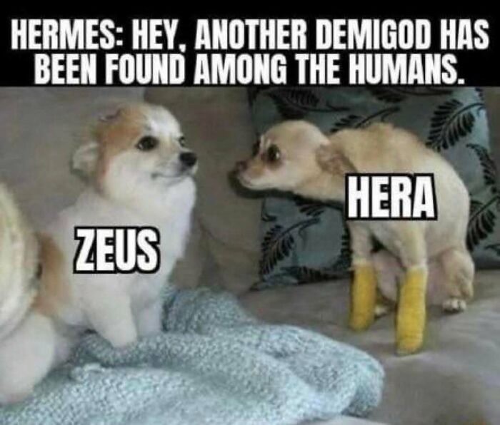 64 Funny Silly Memes To Brighten Your Day With Some Lighthearted Humor 64 Funny Silly Memes To Brighten Your Day With Some Lighthearted Humor