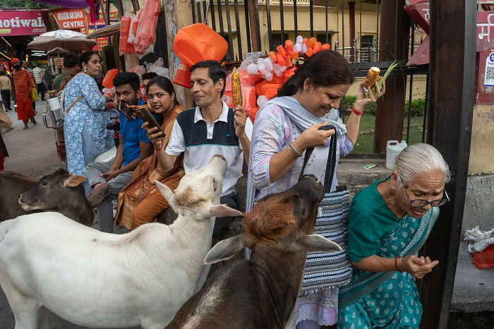 Photographer Reveals The Unseen Realities Of Our World, And Here Are His 30 New Shots