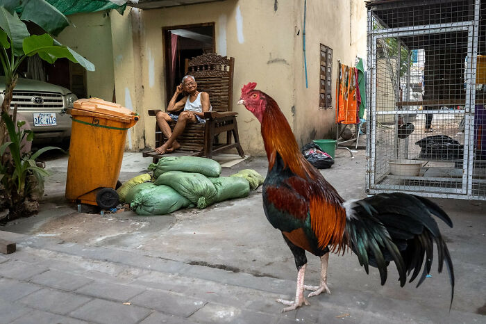 Photographer Reveals The Unseen Realities Of Our World, And Here Are His 30 New Shots