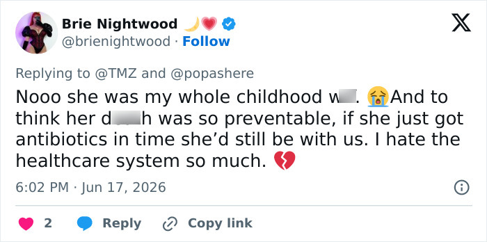 Star Of ‘The Ring’ And ‘Lilo & Stitch’ Passes Away At 35 After Boyfriend Started Fundraiser Campaign Star Of ‘The Ring’ And ‘Lilo & Stitch’ Passes Away At 35 After Boyfriend Started Fundraiser Campaign