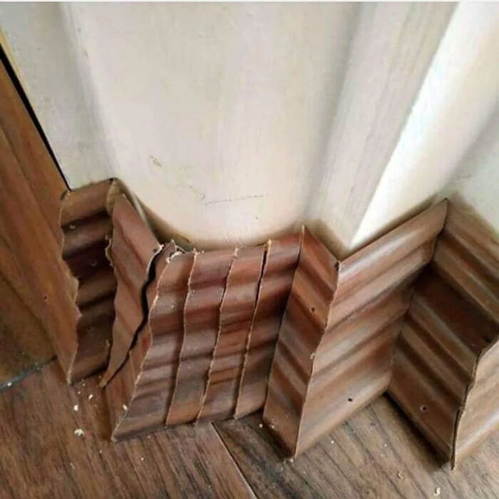 50 Funny And Awkward Fails When An Attempt Didn’t Go As Planned (New Pics) 50 Funny And Awkward Fails When An Attempt Didn’t Go As Planned (New Pics)