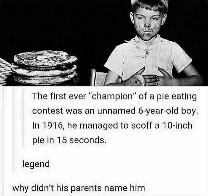 76 Mad Lads Who Saw A Rule And Took It As A Personal Challenge 76 Mad Lads Who Saw A Rule And Took It As A Personal Challenge