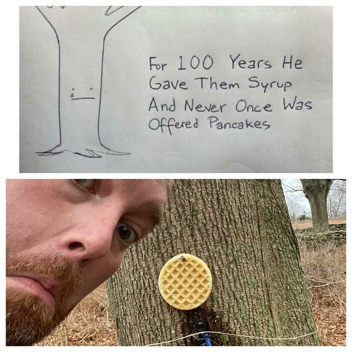 76 Mad Lads Who Saw A Rule And Took It As A Personal Challenge 76 Mad Lads Who Saw A Rule And Took It As A Personal Challenge